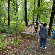 Charity-Northeast Chapter11