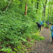 Charity-Northeast Chapter19