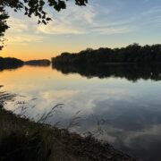 Picnic-Washington DC Chapter13