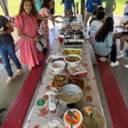 Picnic-Washington DC Chapter15