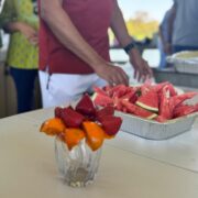 Southern California Chapter-2026Picnic11